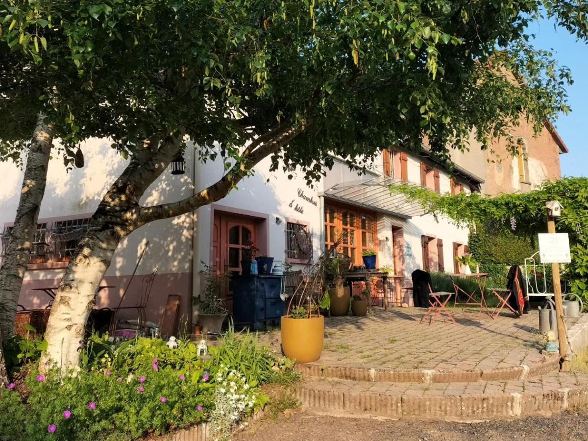Les Capucines La Souris Des Champs Appartement Étival-Clairefontaine Buitenkant foto