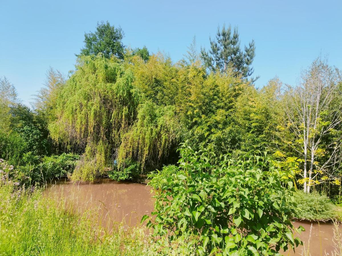 Les Capucines La Souris Des Champs Appartement Étival-Clairefontaine Buitenkant foto